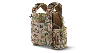 Плитоноски